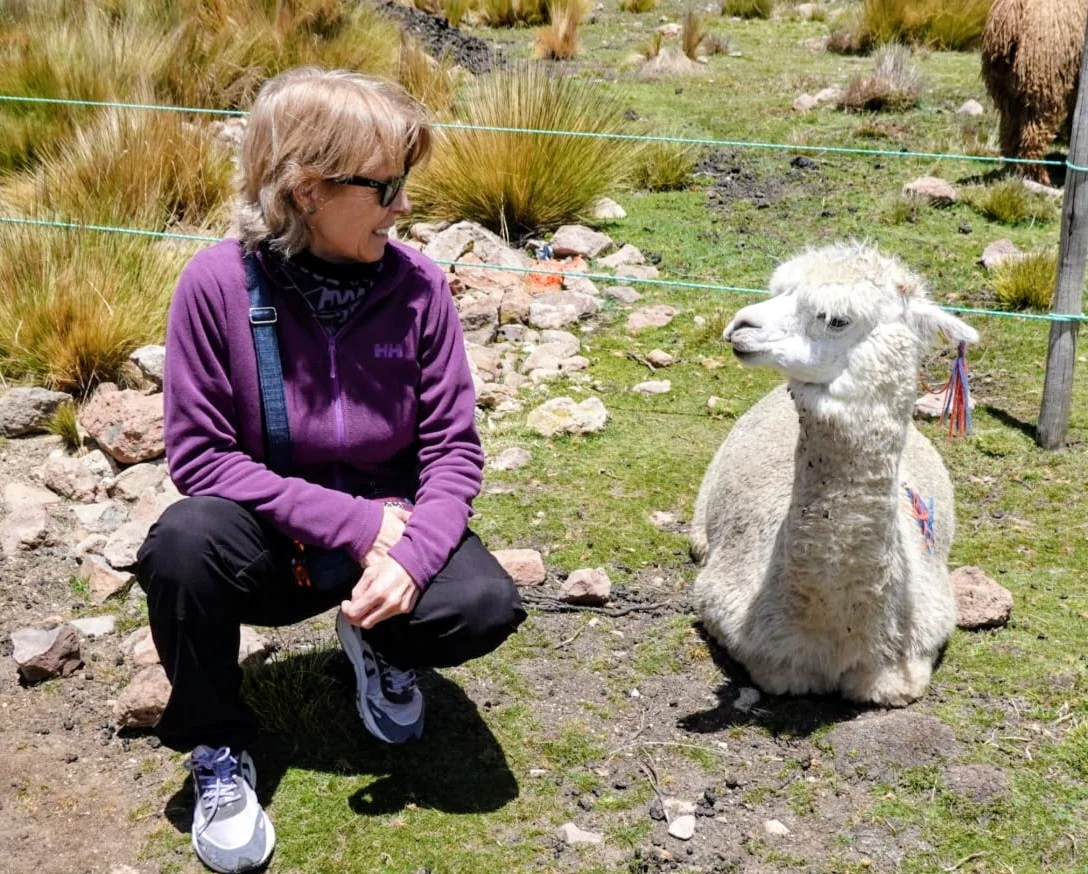 Gloria compartiendo un momento con una alpaca en los Andes peruanos