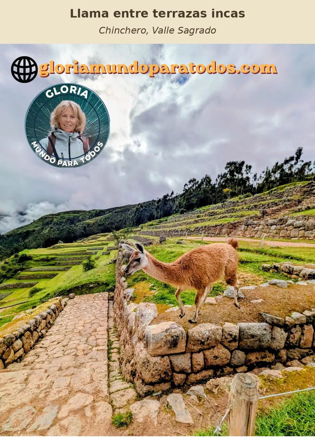 Una llama se asoma entre las terrazas incas de Chinchero, bajo un cielo de nubes sobre el Valle Sagrado.